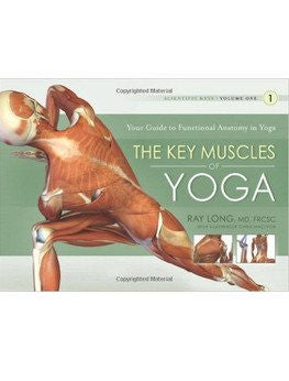 The Key Muscles of Yoga: Scientific Keys, Volume I