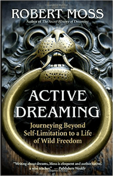 Active Dreaming: Journeying Beyond Self-Limitation to a Life of Wild Freedom