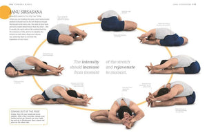 B.K.S. Iyengar Yoga: The Path to Holistic Health (Hardcover)