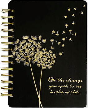 Dandelion Wishes / Be the Change Journal (Diary, Dream Journal, Notebook)
