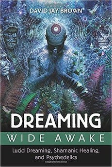 Dreaming Wide Awake: Lucid Dreaming, Shamanic Healing, and Psychedelics