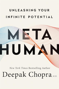 Metahuman: Unleashing Your Infinite Potential (Hardcover)