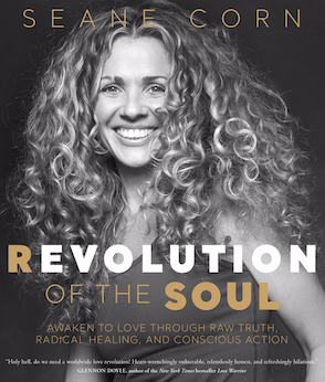 Revolution of the Soul: Awaken to Love Through Raw Truth, Radical Healing, and Conscious Action (Hardcover)