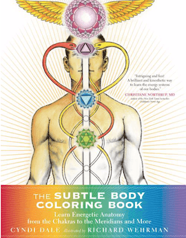 The Subtle Body Coloring Book: Learn Energetic Anatomy from the Chakras to the Meridians and More