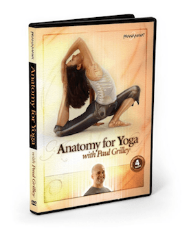 Anatomy for Yoga Online Course with Paul Grilley - Unlimited On-Demand Access: Anytime, Anywhere