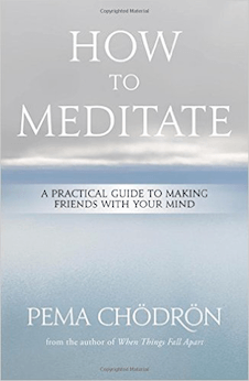 How to Meditate: A Practical Guide to Making Friends with Your Mind (Hardcover)