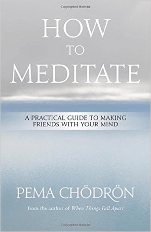 How to Meditate: A Practical Guide to Making Friends with Your Mind (Hardcover)