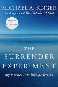 The Surrender Experiment: My Journey into Life's Perfection